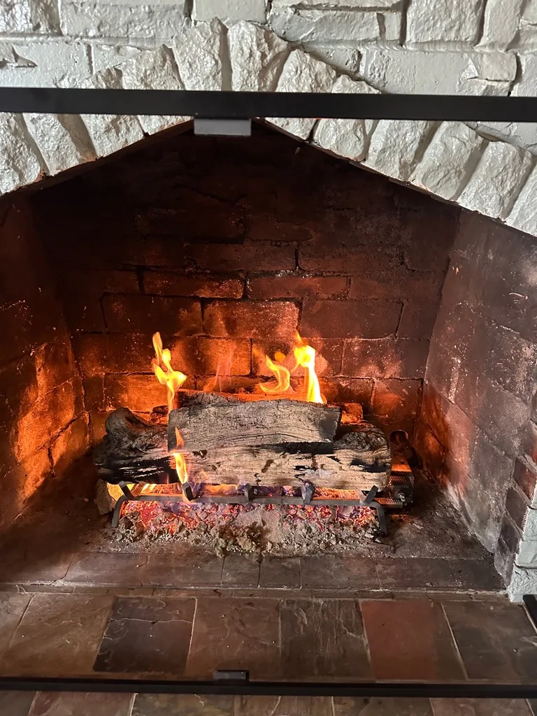 After chimney service photo