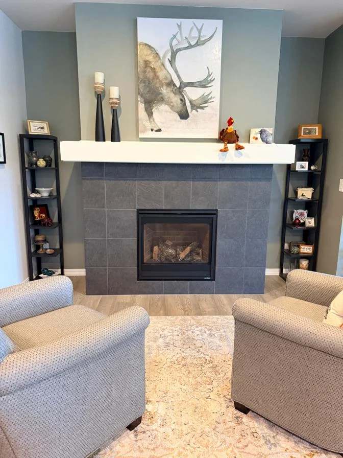 Before chimney service photo